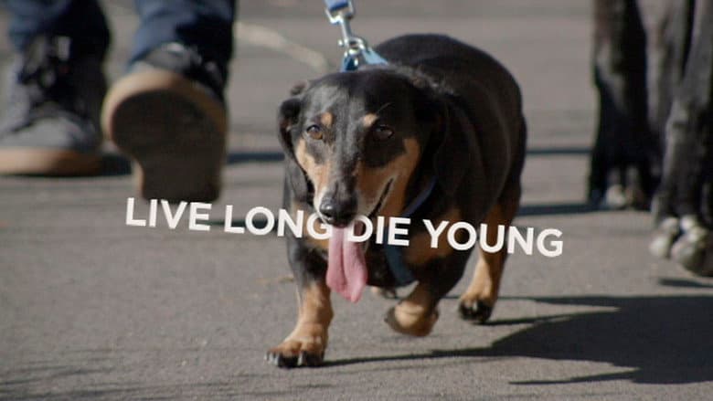 Кадр із фільму «Live Long Die Young»