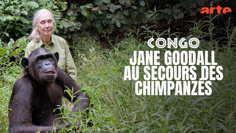 Backdrop from Schimpansen im Kongo mit Jane Goodall