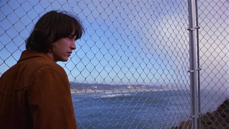 Backdrop from Permanent Record