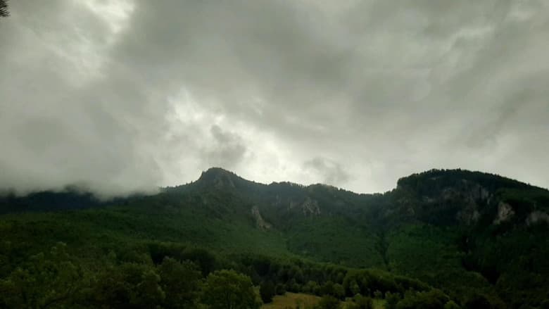Backdrop from Tourist;Drifter