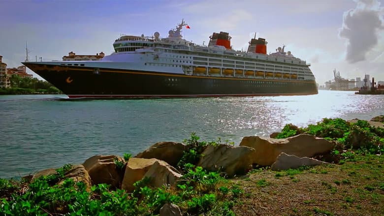 Backdrop from The Wrong Cruise