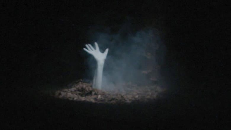 Backdrop from Zombie Land