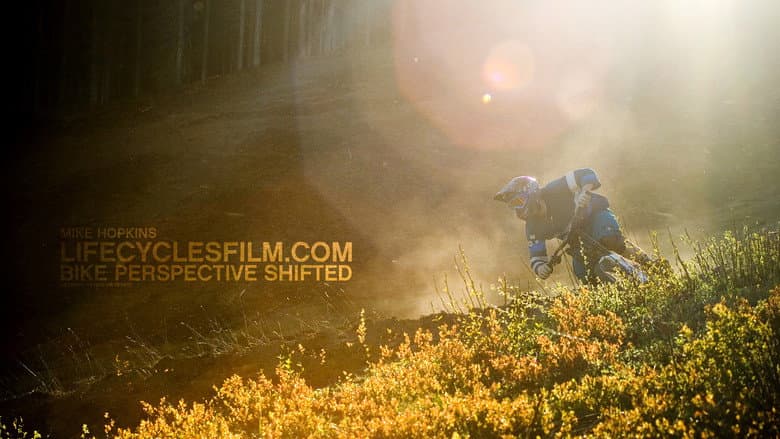 Backdrop from Life Cycles