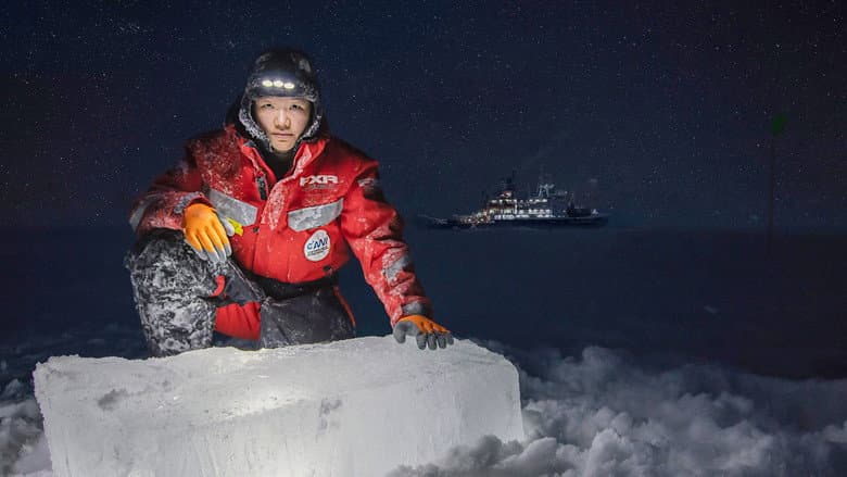 Backdrop from A Year in the Ice: The Arctic Drift