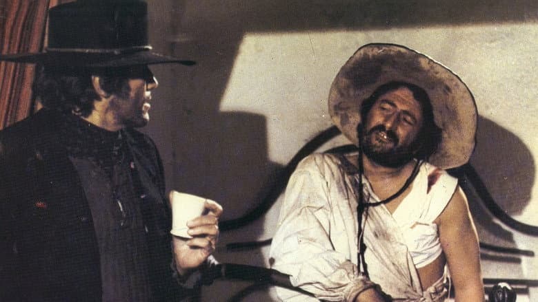 Backdrop from Viva! Django