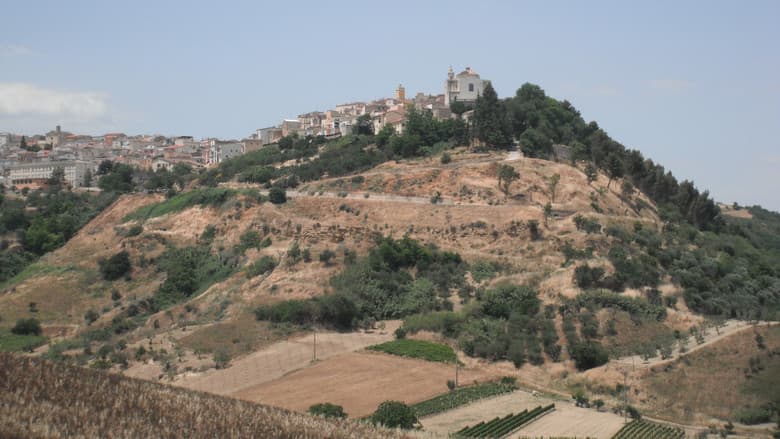 Backdrop from The Mayor of Montemilone
