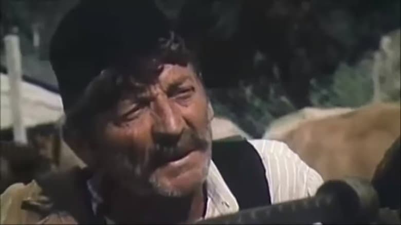 Backdrop from Uninterrupted Melody