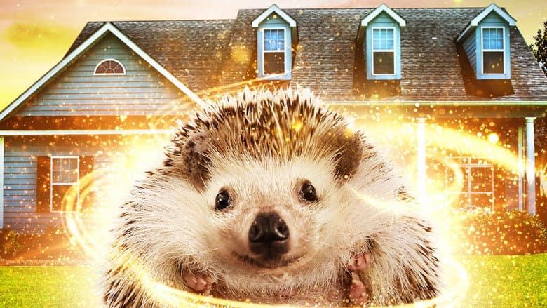 Backdrop from Andy the Talking Hedgehog