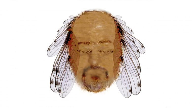 Backdrop from Bill Bailey: Tinselworm