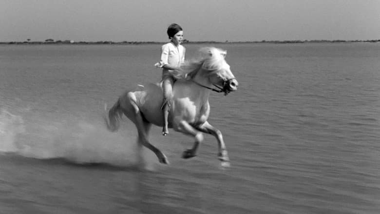 Backdrop from White Mane