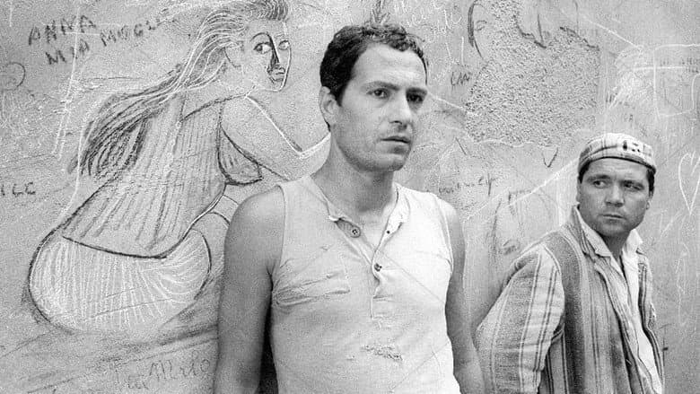 Backdrop from On the Tiger's Back