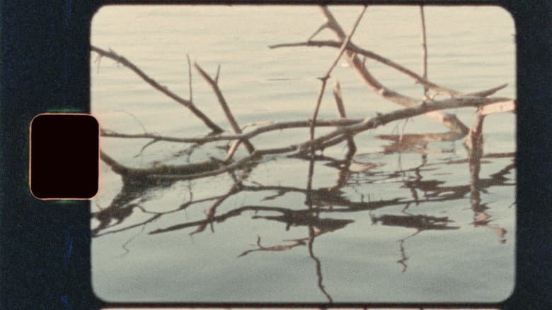 Backdrop from Among the Pines