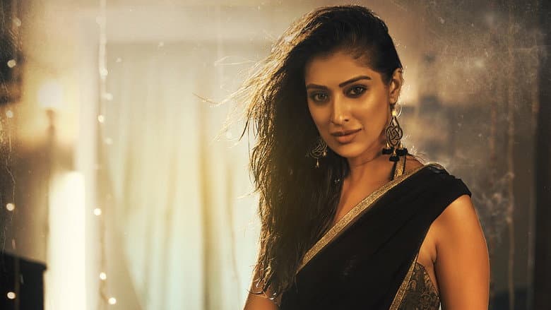 Backdrop from Where Is The Venkatalakshmi