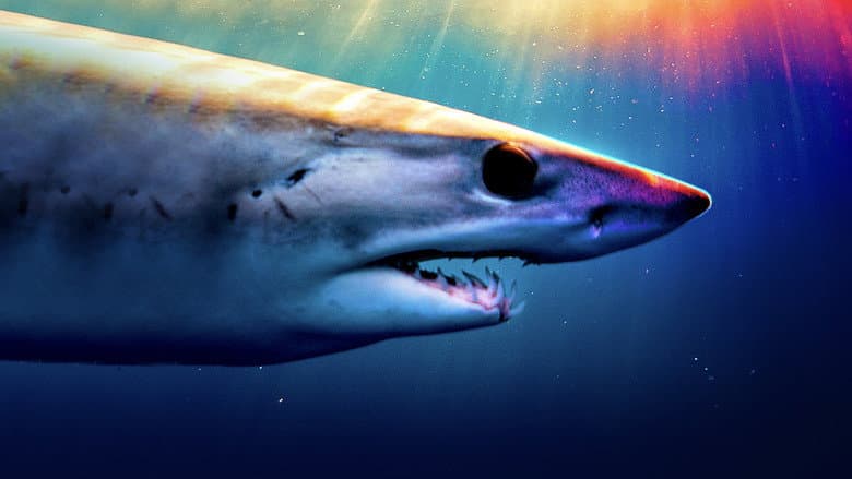 Backdrop from Shark Superpower