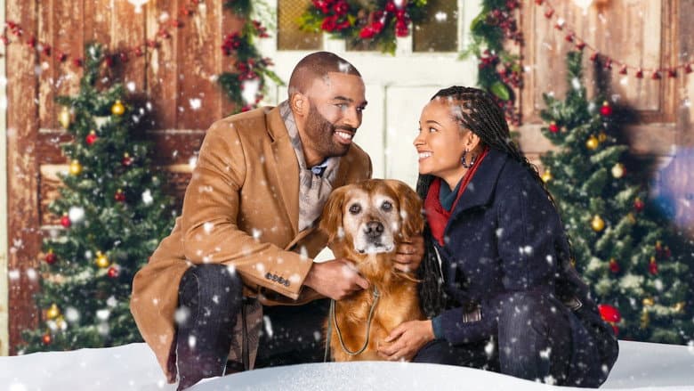 Backdrop from A Christmas Stray