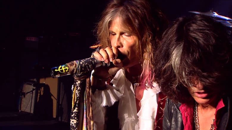 Backdrop from Aerosmith - Rock for the Rising Sun