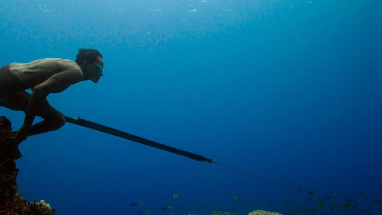Backdrop from Jago: A Life Underwater