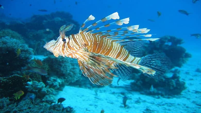 Backdrop from Mediterranean Sea