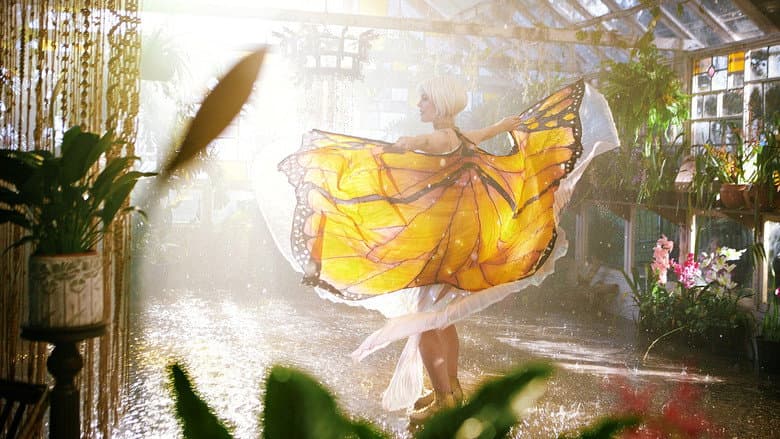 Backdrop from The Butterfly Tree