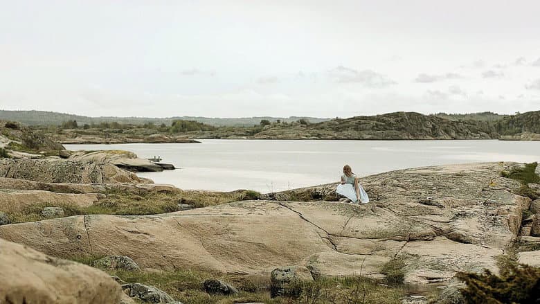 Backdrop from The Fjällbacka Murders: In the Eye of the Beholder
