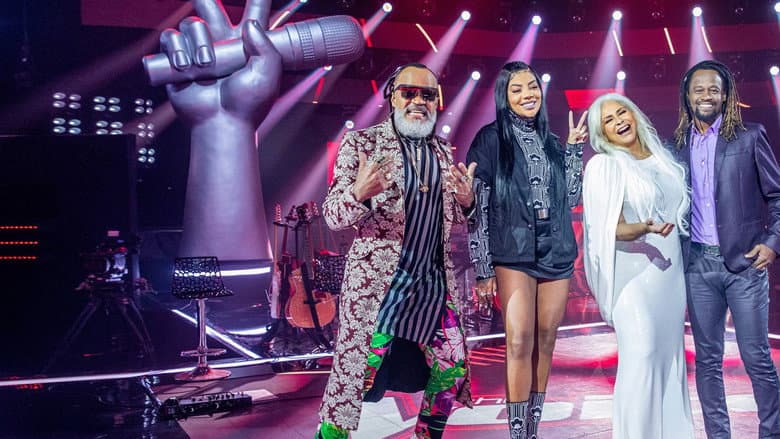 Backdrop from The Voice +