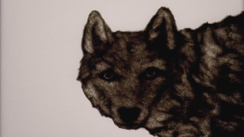 Backdrop from The Hunter