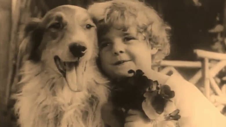 Backdrop from A Dog's Love