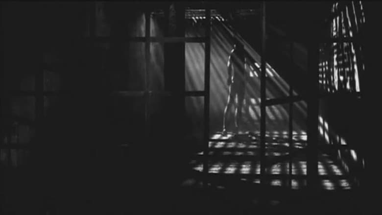 Backdrop from Zoetrope