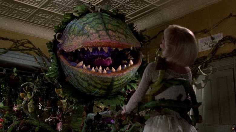 Backdrop from Little Shop of Horrors