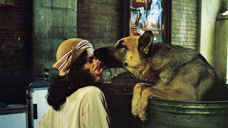 Кадр із фільму «Won Ton Ton: The Dog Who Saved Hollywood»