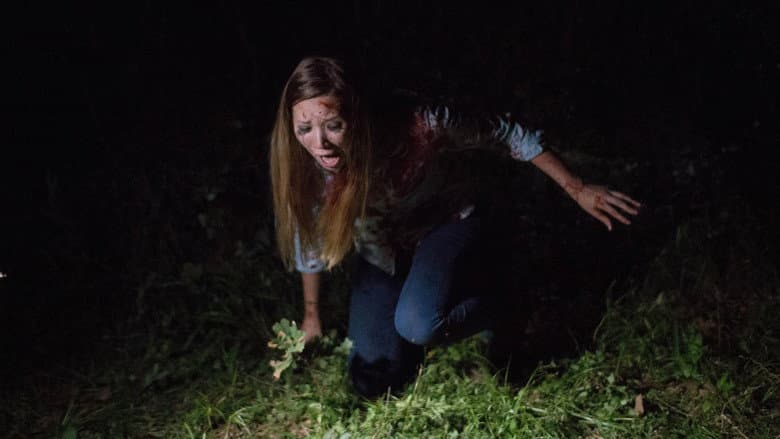 Backdrop from Found Footage 3D