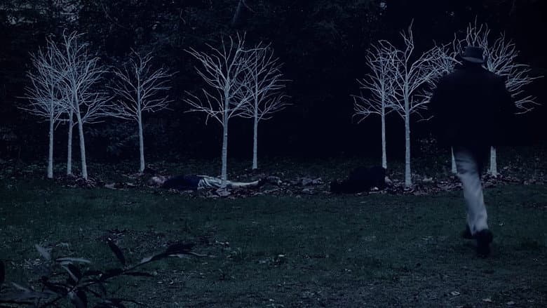 Backdrop from Queen of Hearts: A Twin Peaks Fan Film