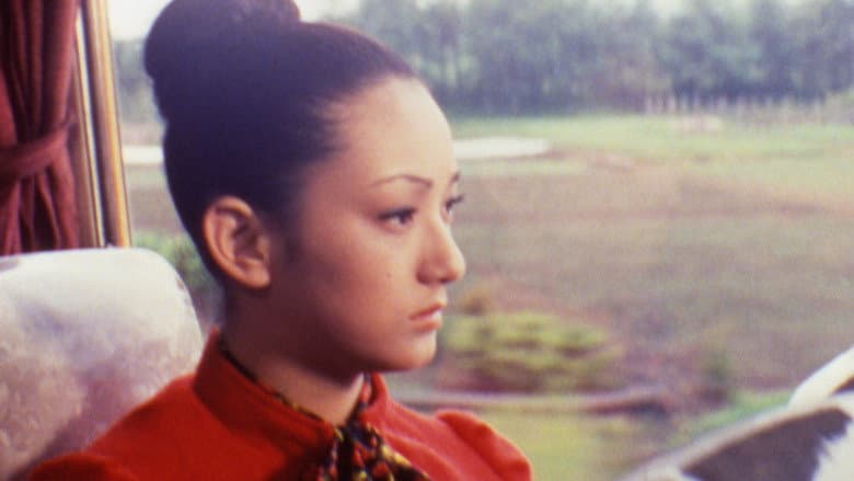 Backdrop from Woman on the Night Train