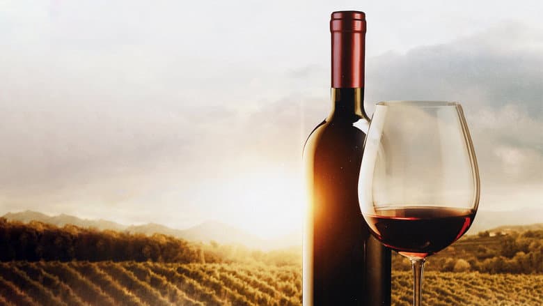 Backdrop from The Mostly Serious History of Wine