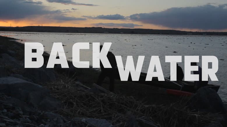 Backdrop from Back Water