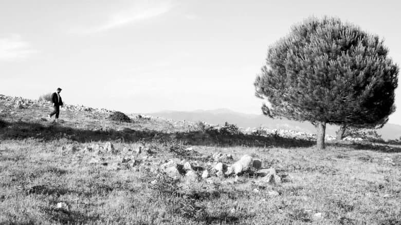 Backdrop from Essere Idea