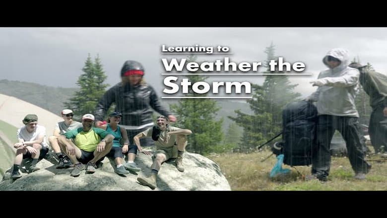 Backdrop from Learning to Weather the Storm