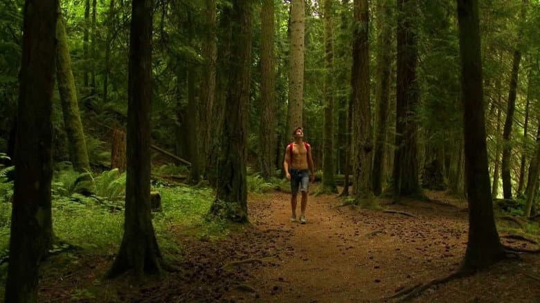Backdrop from 1313: Bigfoot Island