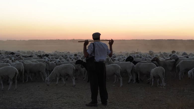 Backdrop from The Shepherd