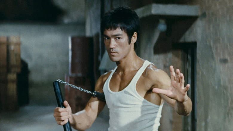 Backdrop from The Way of the Dragon