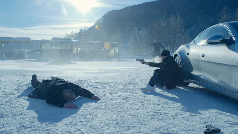 Backdrop from In Order of Disappearance