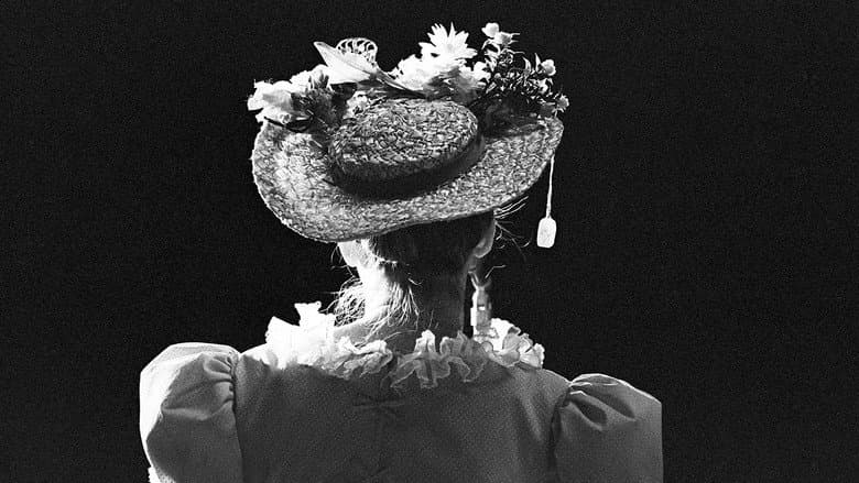 Backdrop from Facing the Laughter: Minnie Pearl