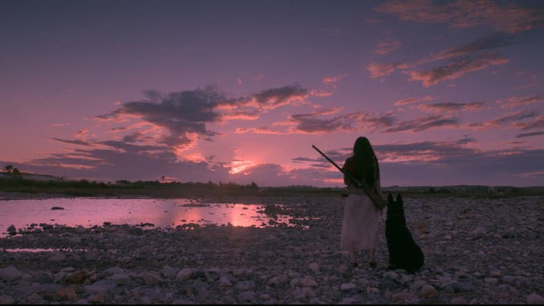 Backdrop from Birdshot