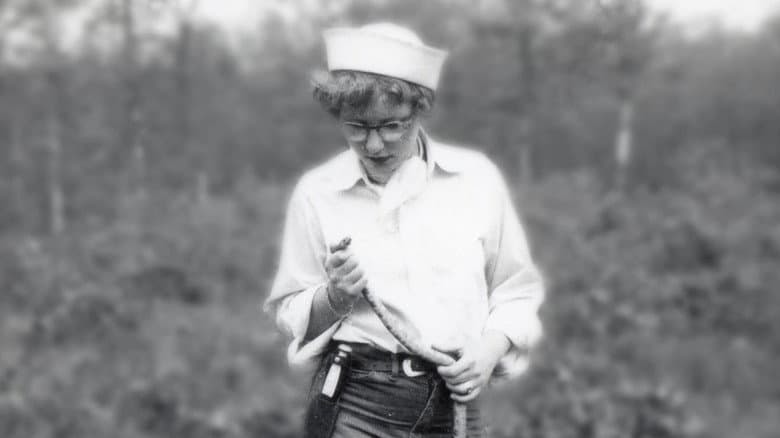 Backdrop from Joanne Martin: A Life in Miniature