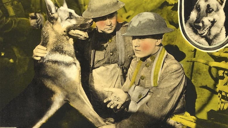 Backdrop from His Master's Voice