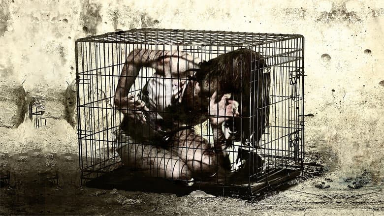 Backdrop from Caged