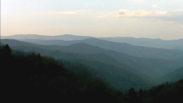 Backdrop from Bigfoot Witness