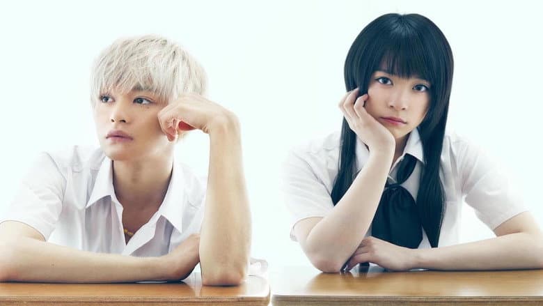 Backdrop from Haganai: I Don't Have Many Friends (Live Action)