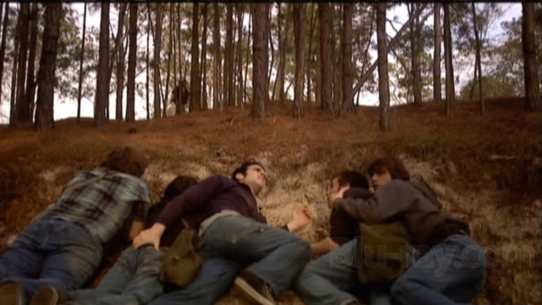 Backdrop from The Woods Have Eyes