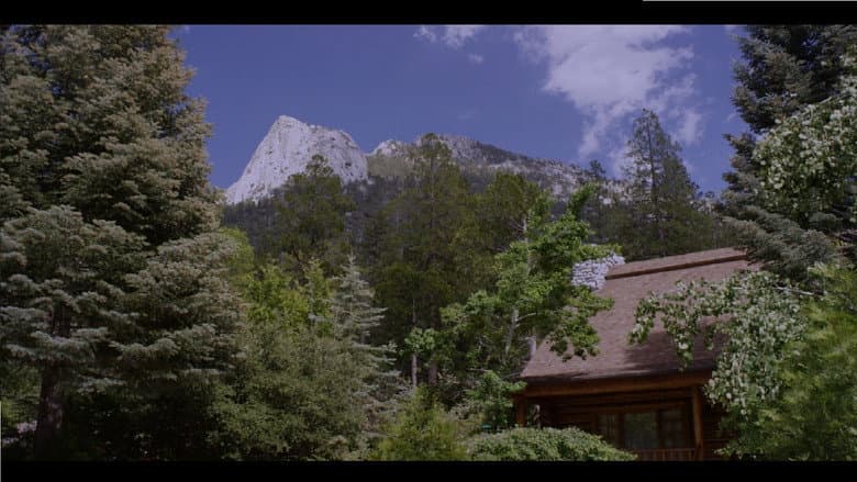 Backdrop from Why?